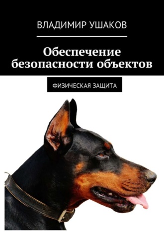 Владимир Ушаков, Обеспечение безопасности объектов. Физическая защита