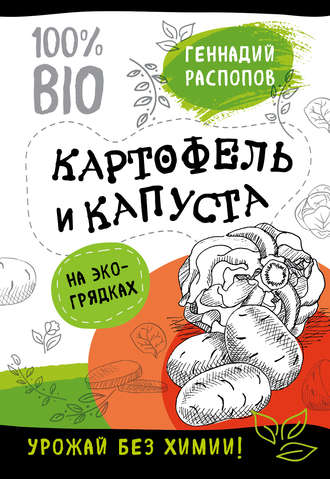 Геннадий Распопов, Картофель и капуста на эко грядках. Урожай без химии
