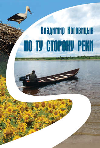 Владимир Ноговицын, По ту сторону реки (сборник)