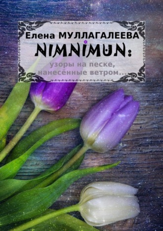 Елена Муллагалеева, NIMNIMUN