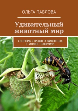 Ольга Павлова, Удивительный животный мир. Сборник стихов о животных с иллюстрациями