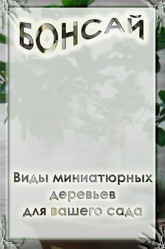 Илья Мельников, Виды миниатюрных деревьев для вашего сада
