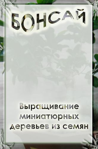 Илья Мельников, Выращивание миниатюрных деревьев из семян