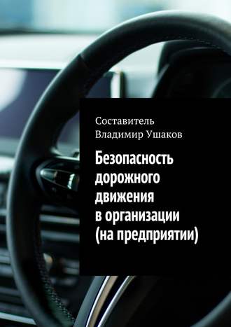 Владимир Ушаков, Безопасность дорожного движения в организации (на предприятии)