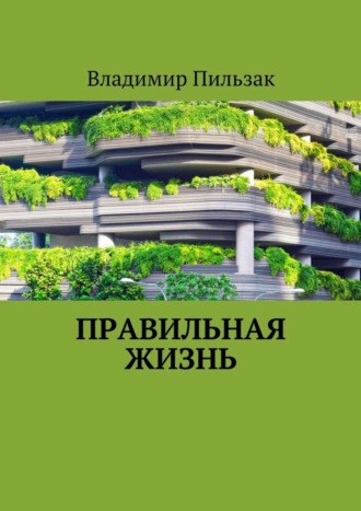 Владимир Пильзак, Правильная жизнь