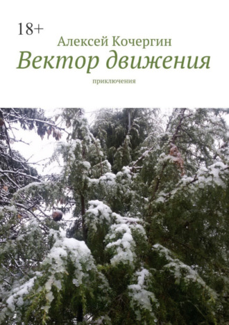 Алексей Кочергин, Вектор движения. Приключения