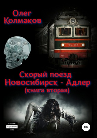 Олег Колмаков, Скорый поезд «Новосибирск – Адлер» – 2