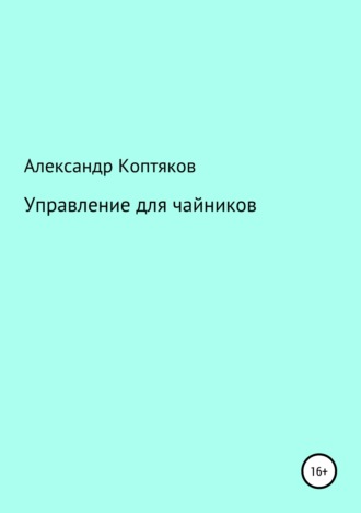 Александр Коптяков, Управление для чайников