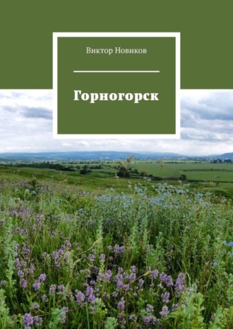 Виктор Новиков, Горногорск