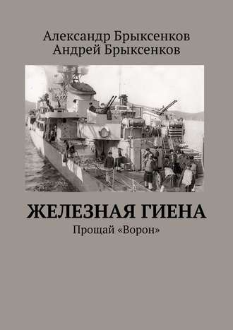 Андрей Брыксенков, Александр Брыксенков, Железная гиена. Прощай «Ворон»