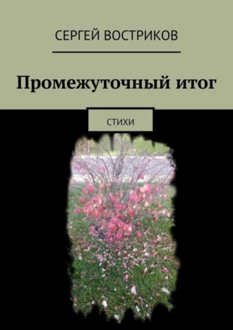 Сергей Востриков, Промежуточный итог. Стихи