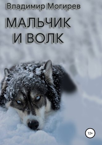 Владимир Могирев, Мальчик и Волк