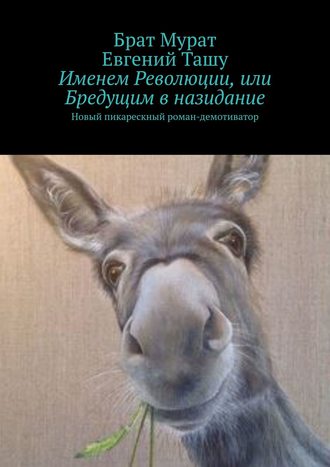 Брат Мурат, Евгений Ташу, Именем Революции, или Бредущим в назидание. Новый пикарескный роман-демотиватор