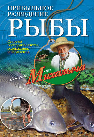 Николай Звонарев, Прибыльное разведение рыбы
