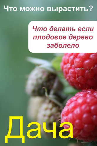 Илья Мельников, Что можно вырастить? Что делать, если плодовое дерево заболело