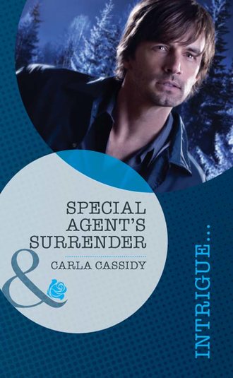 Carla Cassidy, Special Agent's Surrender