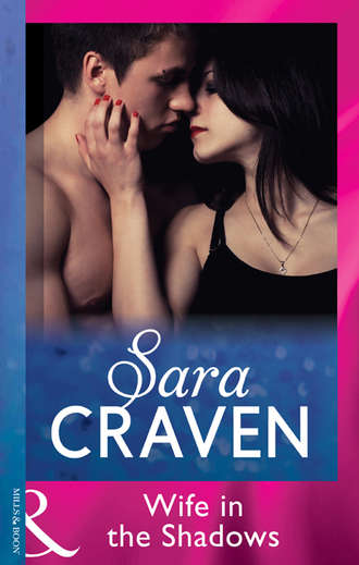 Sara Craven, Wife in the Shadows