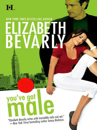 Elizabeth Bevarly, You've Got Male