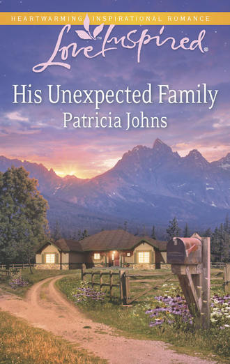 Patricia Johns, His Unexpected Family