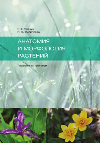 И. Ямских, И. Филиппова, Анатомия и морфология растений