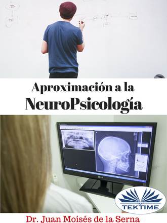 Juan Moisés De La Serna, Aproximación A La Neuropsicología
