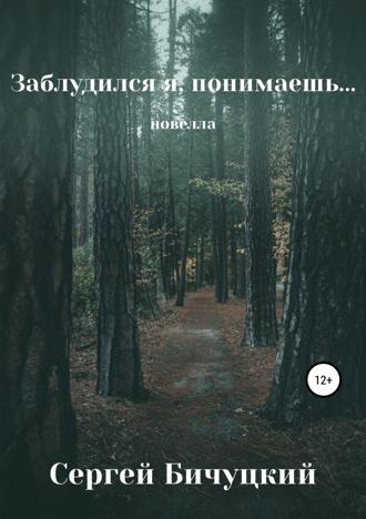 Заблудился я, понимаешь… Сергей Бичуцкий, Заблудился я, понимаешь…