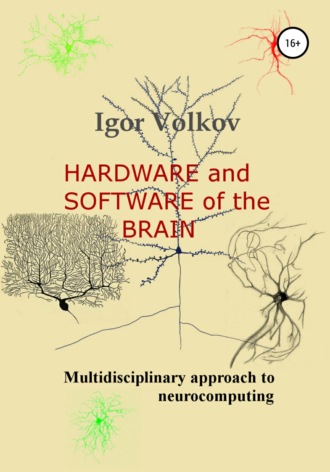 Igor Volkov, Hardware and software of the brain