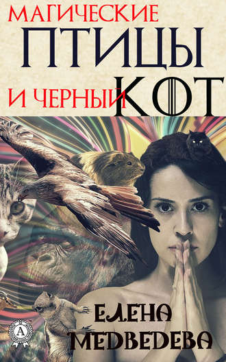Елена Медведева, Магические птицы и чёрный кот