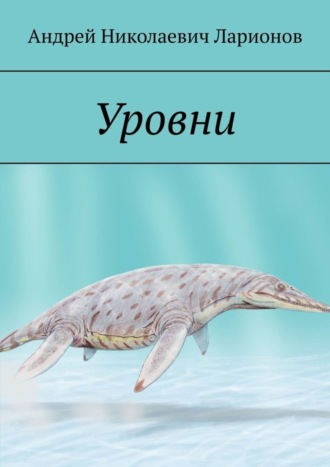 Уровни Андрей Ларионов, Уровни
