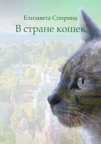 Елизавета Спирина, В стране кошек