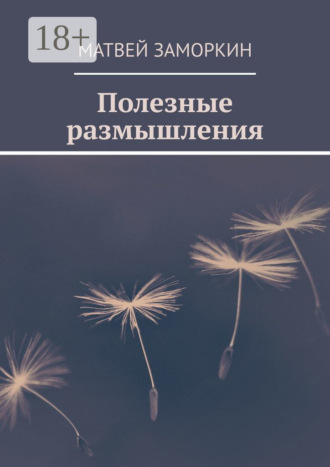 Необычные размышления обычного человека Матвей Заморкин, Необычные размышления обычного человека
