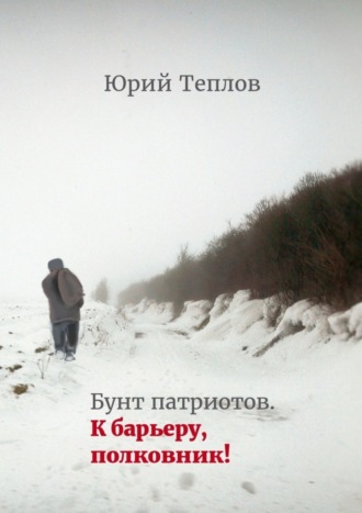 Юрий Теплов, Бунт патриотов. К барьеру, полковник!