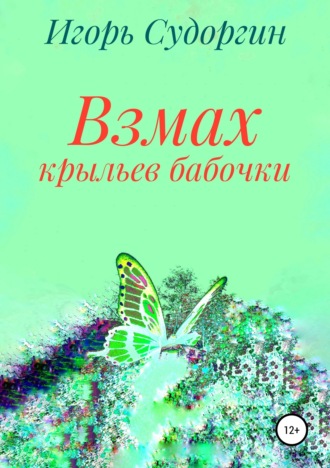 Игорь Судоргин, Взмах крыльев бабочки