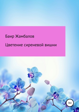Баир Жамбалов, Цветение сиреневой вишни
