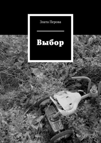 Выбор Злата Перова, Выбор