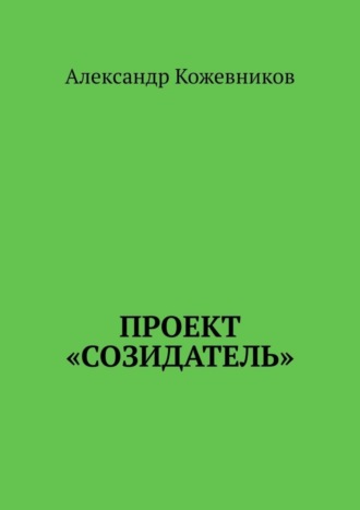 Александр Кожевников, Проект «Созидатель»