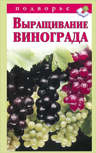 Виктор Горбунов, Выращивание винограда