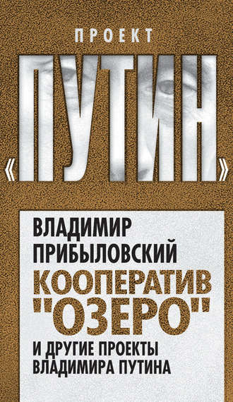 Владимир Прибыловский, Кооператив «Озеро» и другие проекты Владимира Путина