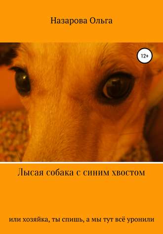 Ольга Назарова, Лысая собака с синим хвостом, или хозяйка, ты спишь, а мы тут всё уронили!