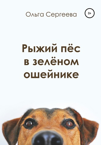 Ольга Сергеева, Рыжий пёс в зелёном ошейнике