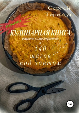 Сергей Терещук, Почти кулинарная книга с рецептами самосохранения и 540 шагов под зонтом