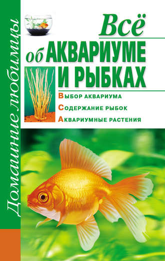 Дарья Костина, Всё об аквариуме и рыбках
