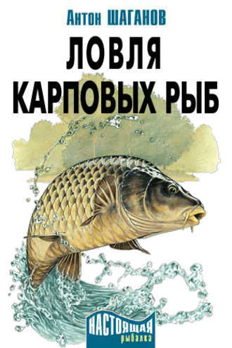 Антон Шаганов, Ловля карповых рыб