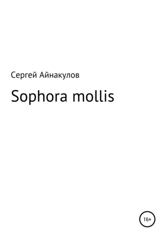 Сергей Айнакулов, Sophora mollis