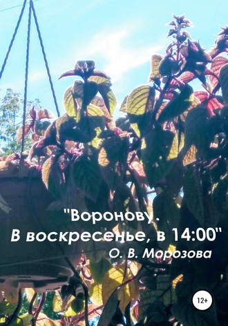 Ольга Морозова, «Воронову. В воскресенье, в 14:00»