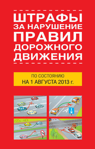 Т. Тимошина, Штрафы за нарушение правил дорожного движения по состоянию на 01 августа 2013 года