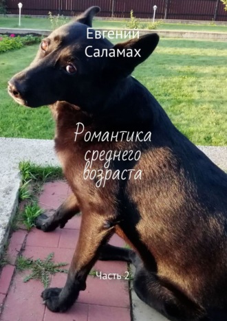 Евгений Саламах, Романтика среднего возраста. Часть 2