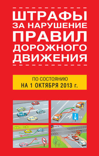 Т. Тимошина, Штрафы за нарушение правил дорожного движения по состоянию на 01 октября 2013 года