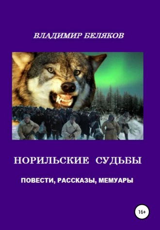 Владимир Беляков, Норильские судьбы