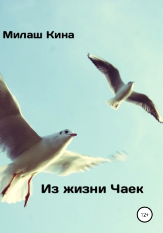 Милаш Кина, Из жизни чаек